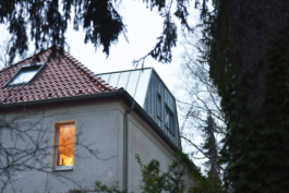 H19 Gaube asphalt kollektiv